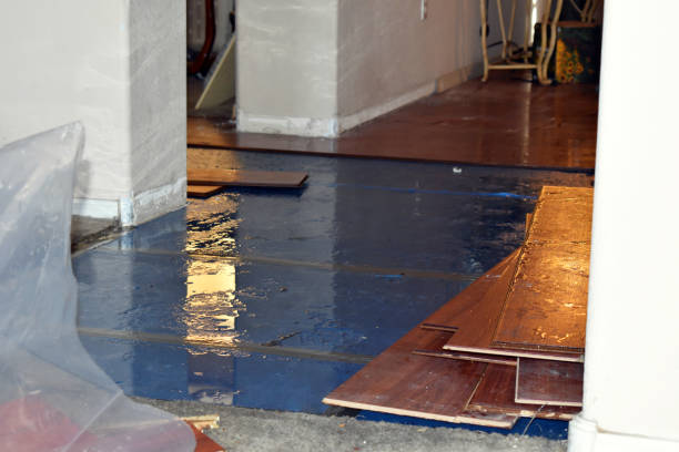 Professional Crawl Space Water Removal technician working in Telephone, TX